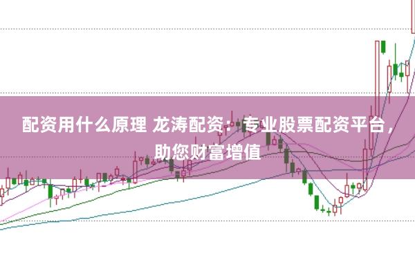 配资用什么原理 龙涛配资:专业股票配资平台,助您财富增值