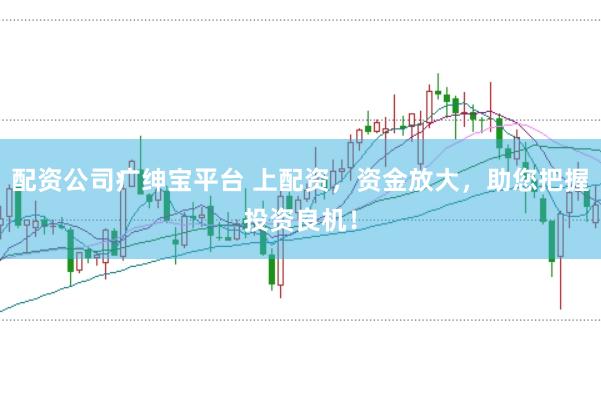 配资公司疒绅宝平台 上配资，资金放大，助您把握投资良机！