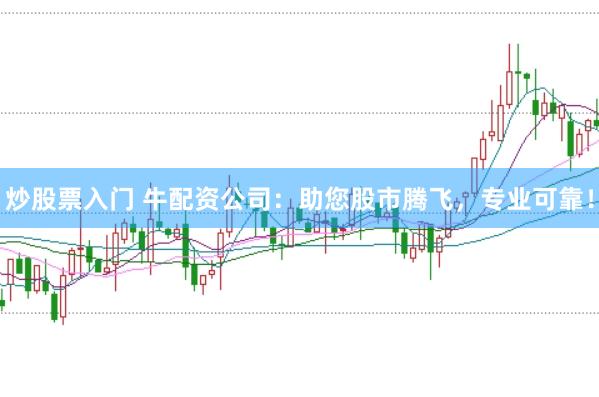炒股票入门 牛配资公司：助您股市腾飞，专业可靠！