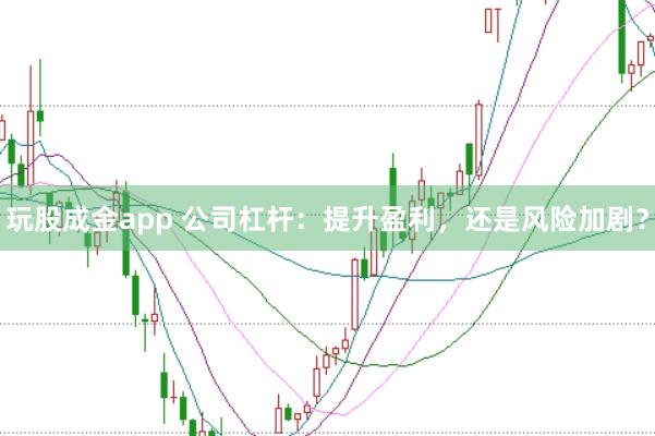 玩股成金app 公司杠杆：提升盈利，还是风险加剧？