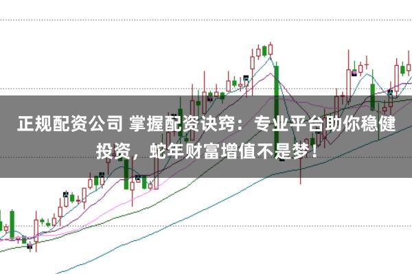 正规配资公司 掌握配资诀窍：专业平台助你稳健投资，蛇年财富增值不是梦！