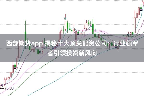 西部期货app 揭秘十大顶尖配资公司：行业领军者引领投资新风向