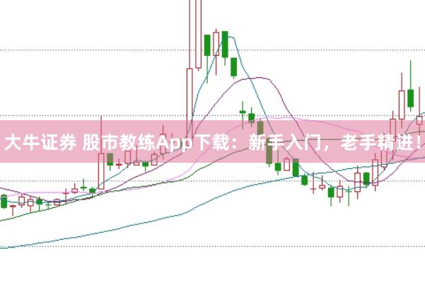 大牛证券 股市教练App下载：新手入门，老手精进！