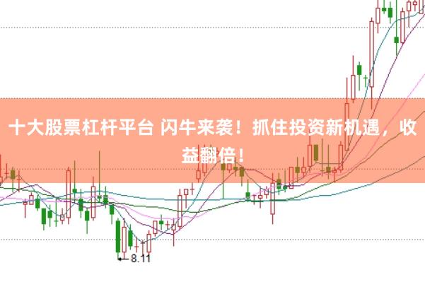 十大股票杠杆平台 闪牛来袭！抓住投资新机遇，收益翻倍！