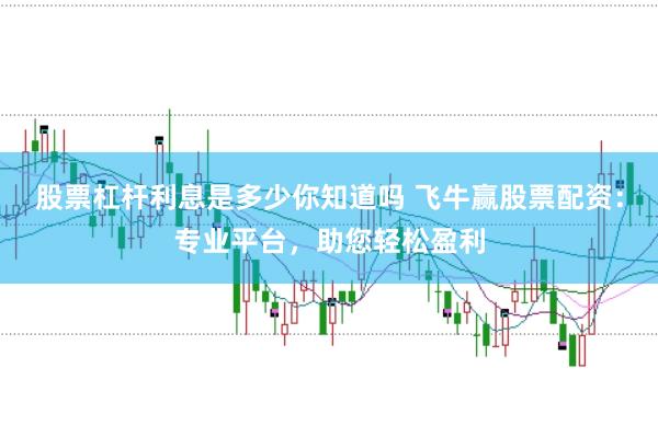 股票杠杆利息是多少你知道吗 飞牛赢股票配资：专业平台，助您轻松盈利
