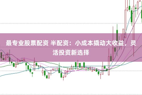 最专业股票配资 半配资:小成本撬动大收益,灵活投资新选择