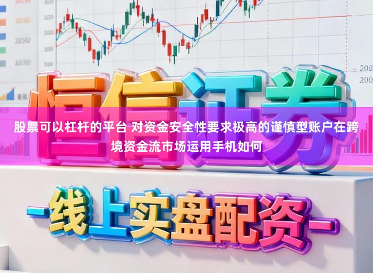 股票可以杠杆的平台 对资金安全性要求极高的谨慎型账户在跨境资金流市场运用手机如何