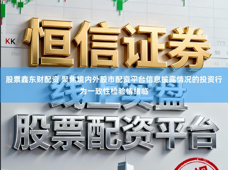 股票鑫东财配资 聚焦境内外股市配资平台信息披露情况的投资行为一致性检验情绪临