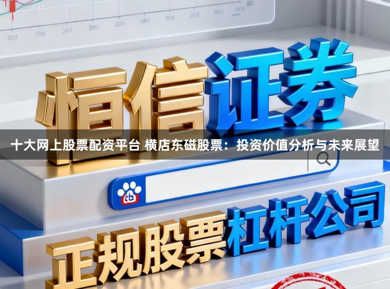 十大网上股票配资平台 横店东磁股票：投资价值分析与未来展望