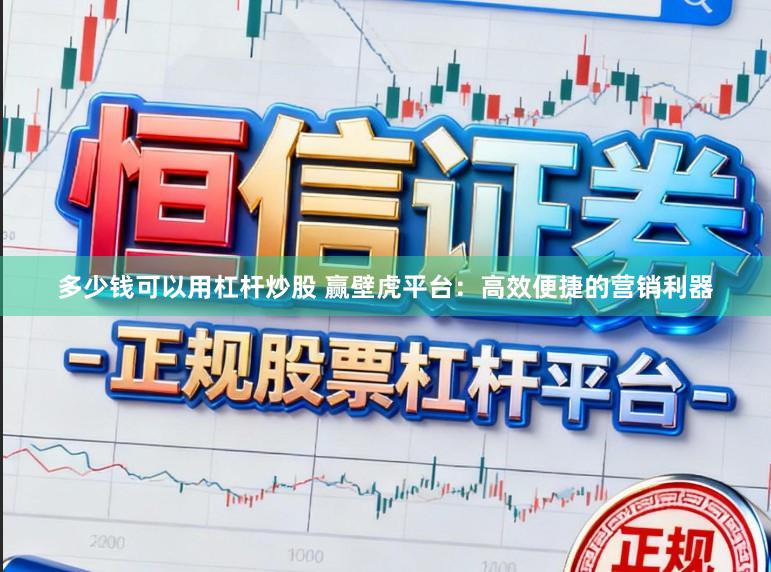多少钱可以用杠杆炒股 赢壁虎平台：高效便捷的营销利器